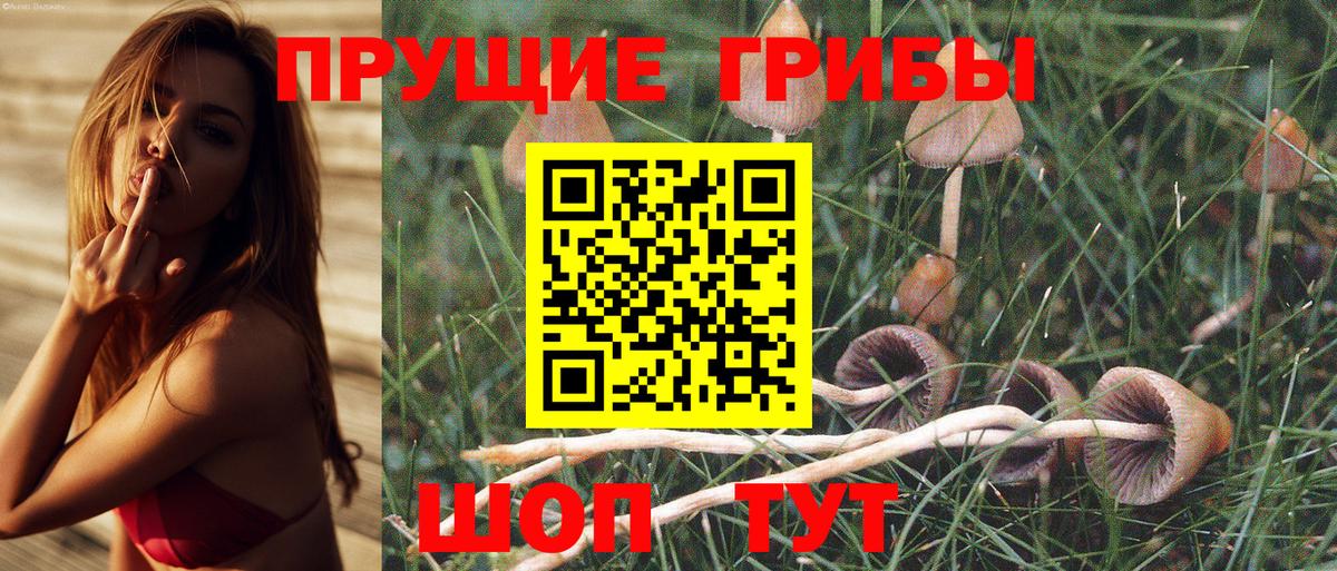 Галлюциногенные грибы Cubensis Новочебоксарск
