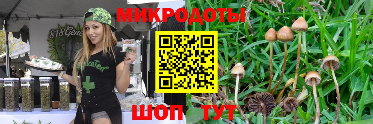 Галлюциногенные грибы MAGIC MUSHROOMS  Псилоцибиновые грибы Psilocybe  Вход с VPN  Новочебоксарск 